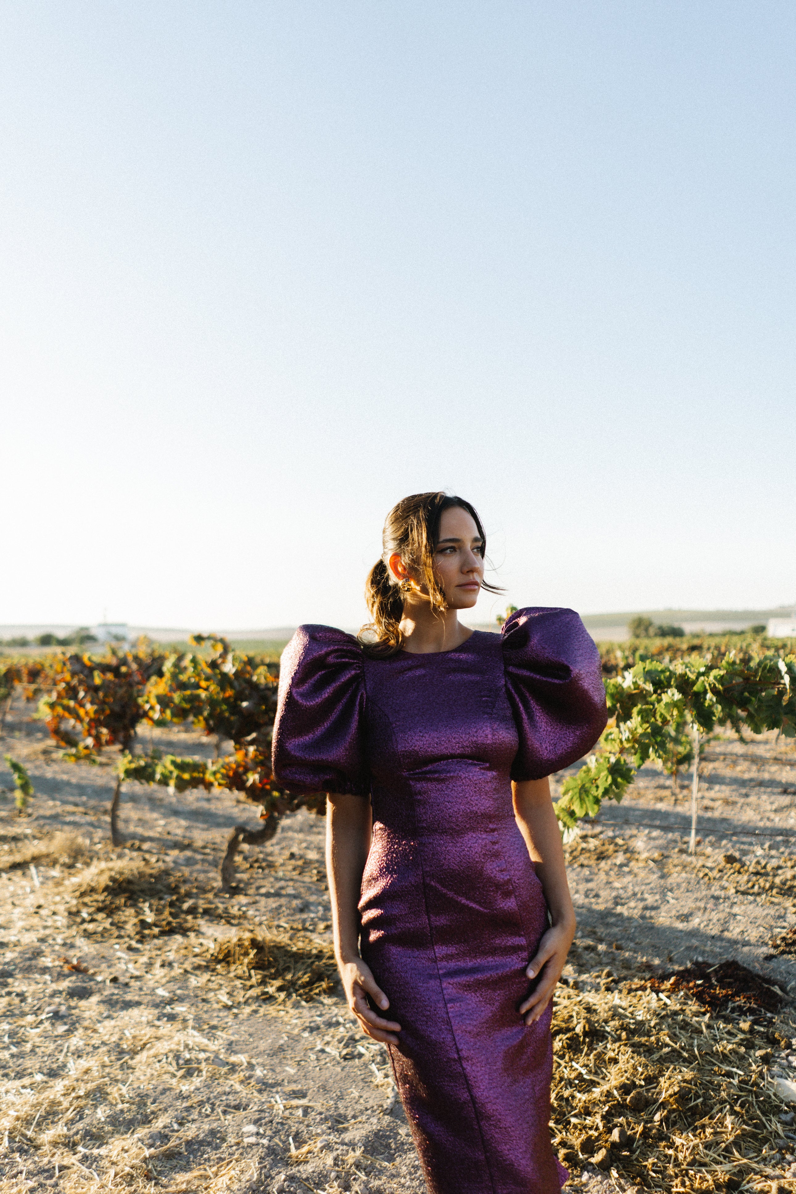 Vestido Julieta Midi - Berenjena